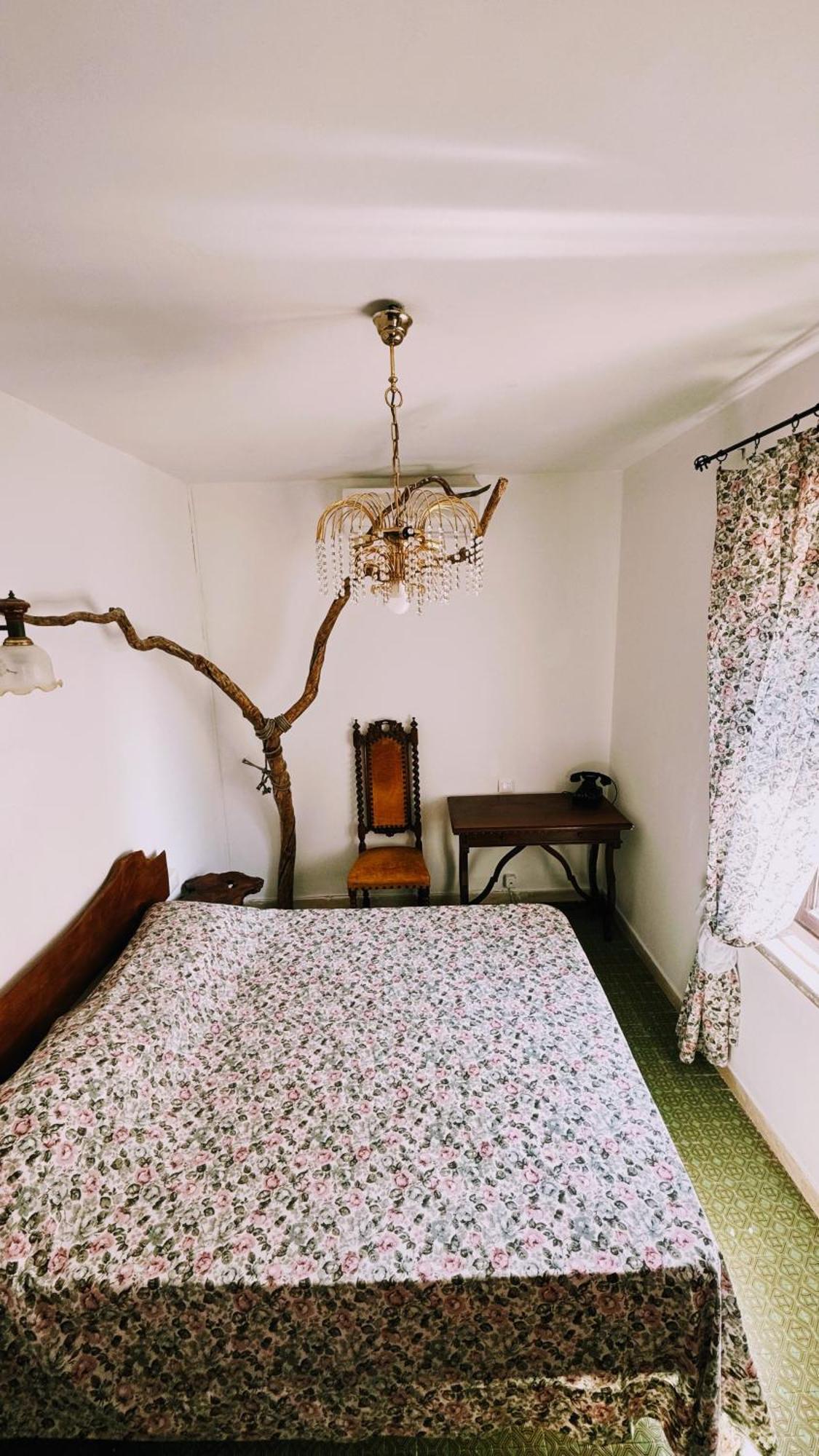فيلا La Casa Del Grillo فِتيربو المظهر الخارجي الصورة