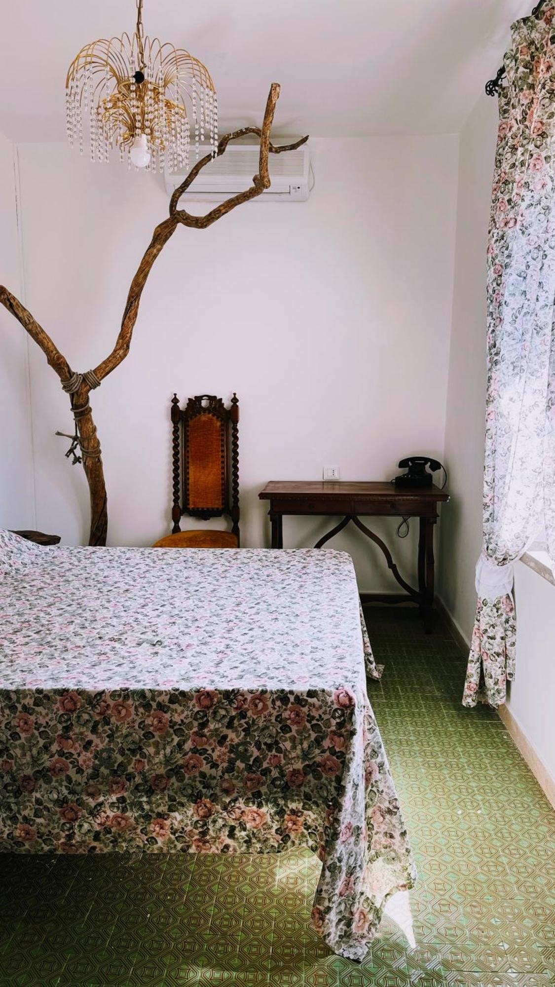 فيلا La Casa Del Grillo فِتيربو المظهر الخارجي الصورة